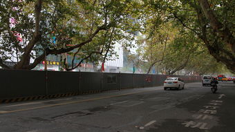 嚴(yán)排查 強(qiáng)落實(shí)——嘉來(lái)建工開展在建項(xiàng)目環(huán)保專項(xiàng)檢查，筑牢生態(tài)防線